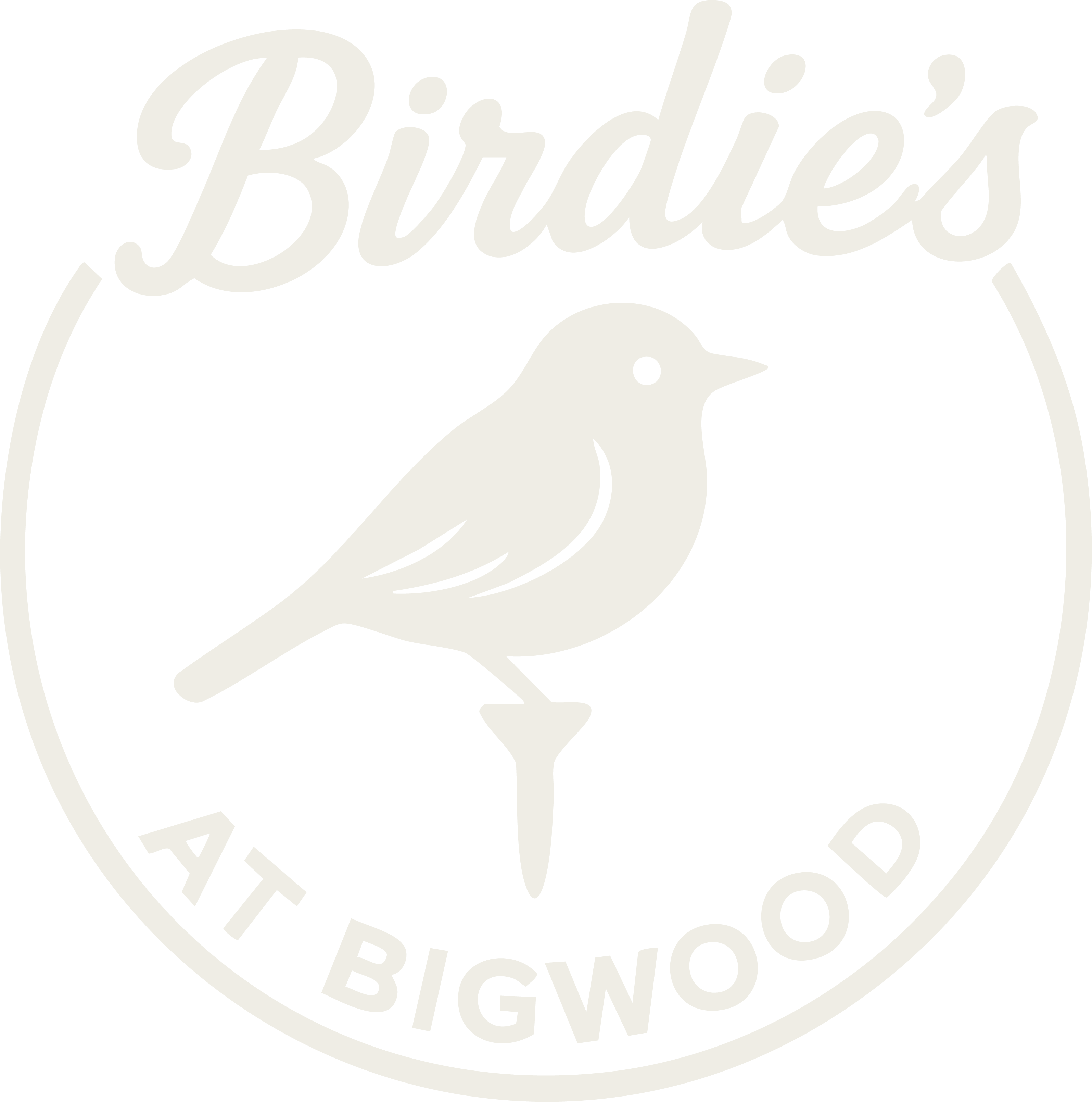 Birdie's at Bigwood